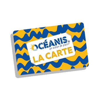 Pictogramme de la carte cadeau