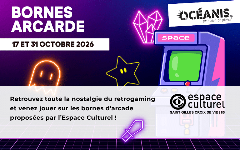 Bornes arcade espace culturel