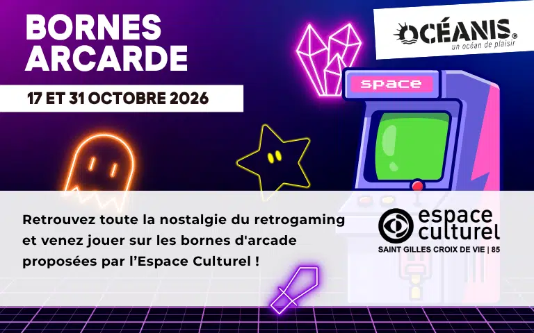 Bornes arcade espace culturel